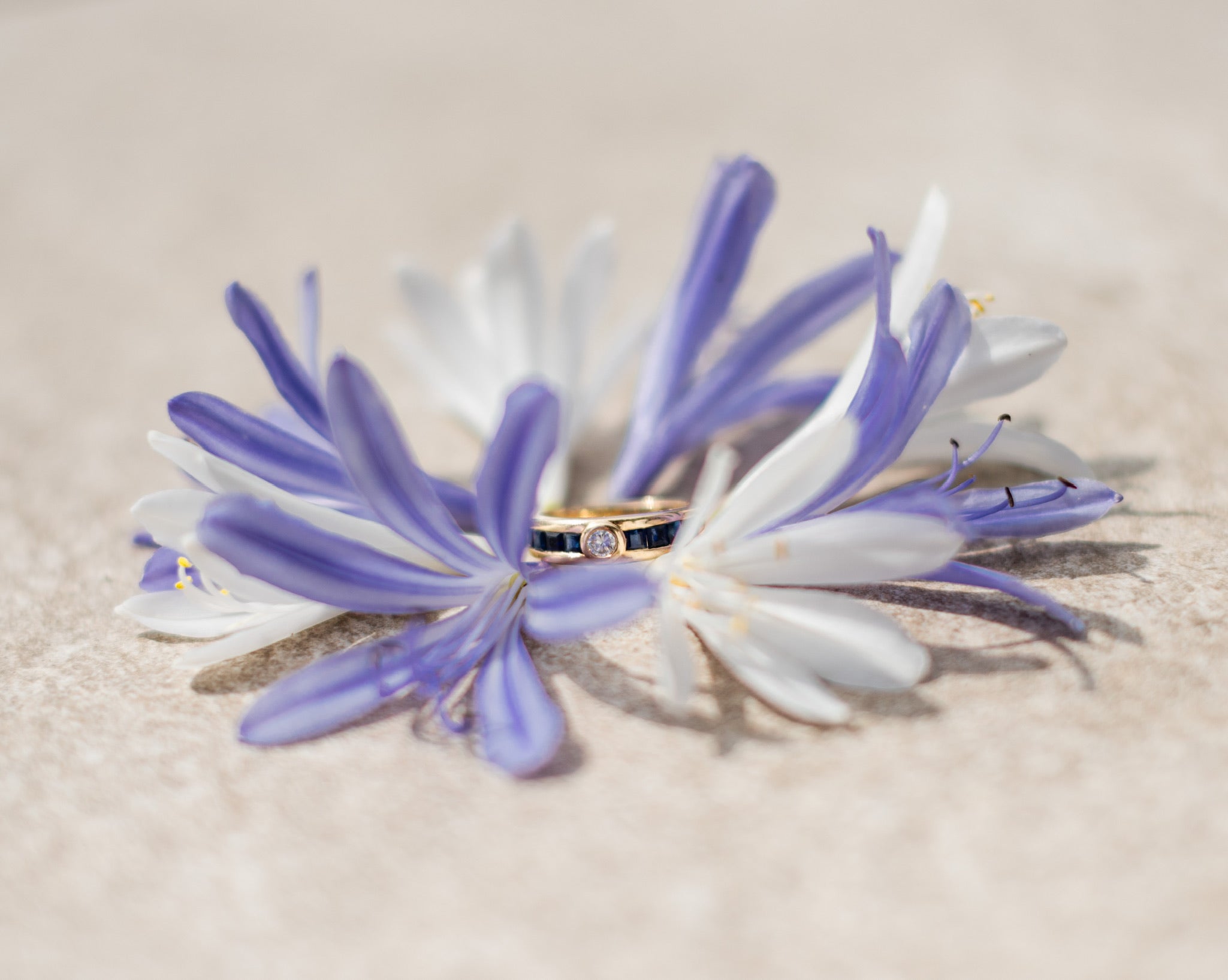 Le bleuet — 5