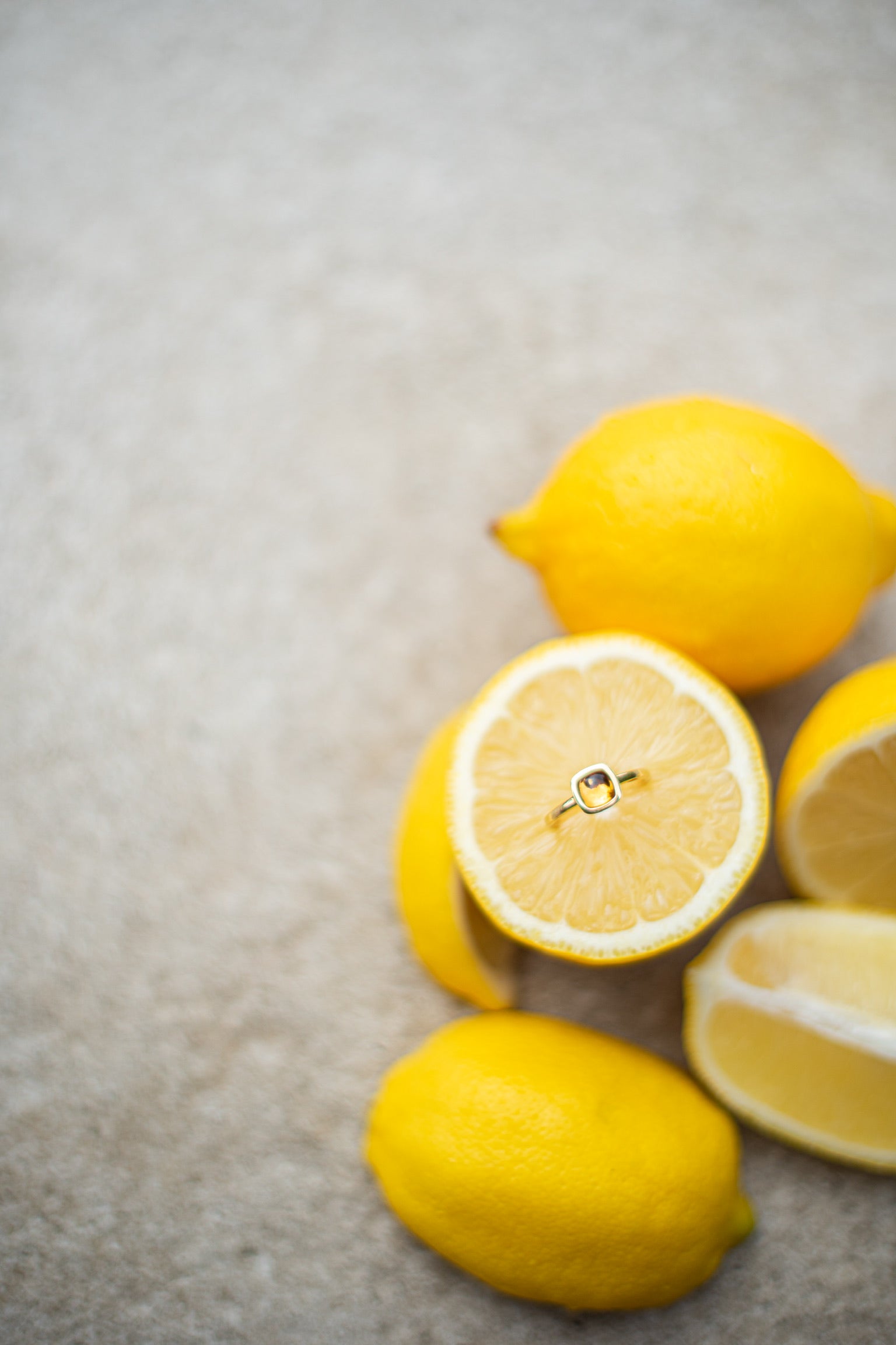 Le mimosa — 7